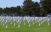 Funeral Services & Crematories